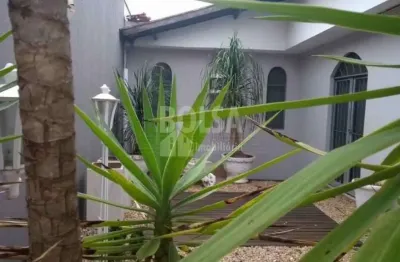 Sala comercial para alugar no Jardim Nasralla, Bauru 