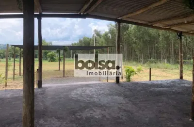 Fazenda para alugar na Área Rural de Bauru, Bauru 