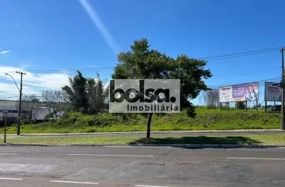 Terreno comercial para alugar no Jardim Contorno, Bauru 