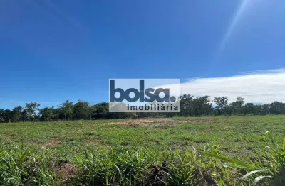 Terreno comercial para alugar na Vila Aviação B, Bauru 