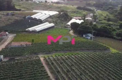 Terreno à venda na Abadia, Louveira 