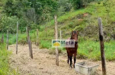 Sítio à venda, 79618 m² por r$ 800.000,00 - barreiro - taubaté/sp