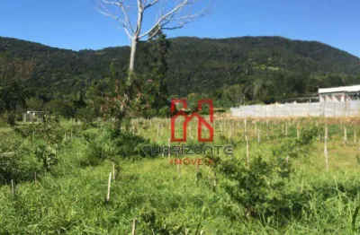 Terreno à venda, 5000 m² por r$ 2.700.000,00 - santo antônio de lisboa - florianópolis/sc