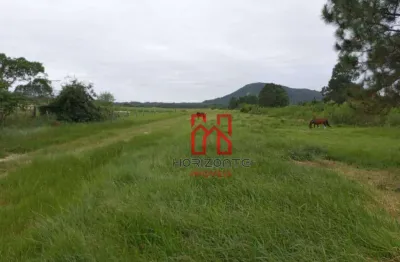 Terreno à venda, 48230 m² por r$ 12.850.000,00 - são joão do rio vermelho - florianópolis/sc