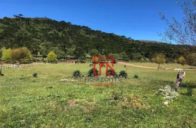 Sítio à venda, 40000 m² por r$ 1.750.000,00 - vacas gordas - urubici/sc