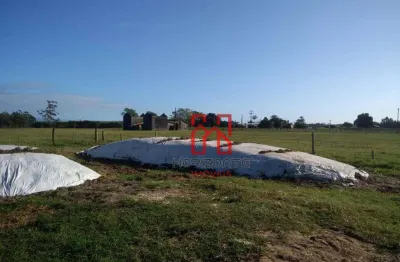 Fazenda com 3 dormitórios à venda, 3300000 m² por r$ 33.000.000,00 - três coqueiros - são joão do sul/sc