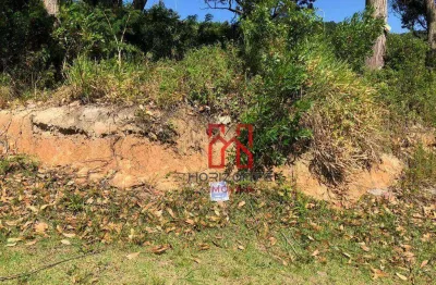 Terreno à venda, 450 m² por r$ 1.385.000,00 - itacorubi - florianópolis/sc