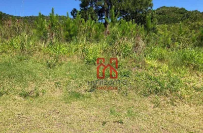 Terreno à venda, 525 m² por r$ 1.481.000,00 - itacorubi - florianópolis/sc
