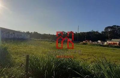 Terreno à venda, 9809 m² por r$ 10.789.900,00 - vargem grande - florianópolis/sc