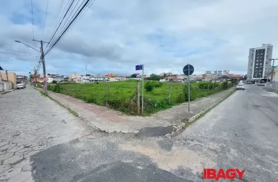 Terreno comercial para alugar na Rua Otto Júlio Malina, Ipiranga, São José