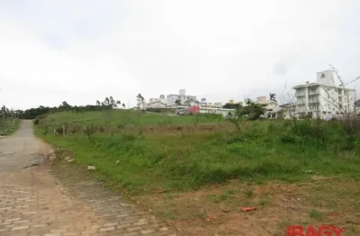 Terreno comercial para alugar na Rua Pedro Antunes Ezequiel, Areias, São José