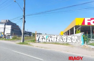 Terreno comercial para alugar na Br-101 Km 202, Serraria, São José