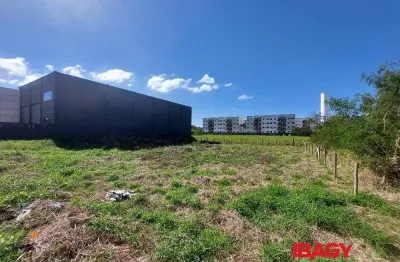 Terreno comercial para alugar na Da Tecnologia, Aririu, Palhoça