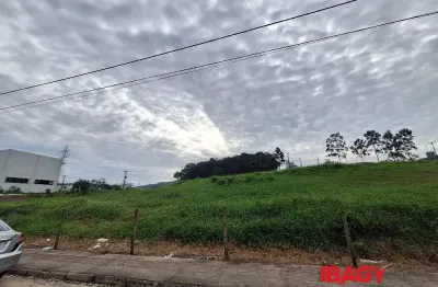 Terreno comercial para alugar na Avenida Osvaldo José do Amaral, Areias, São José