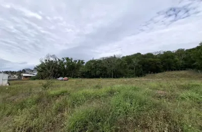 Oportunidade! terreno em nossa senhora do rosário - são josé