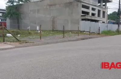 Terreno comercial para alugar na Avenida das Águias, 00, Pedra Branca, Palhoça