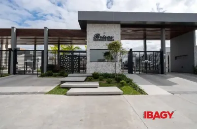 Casa com 3 quartos para alugar na Avenida Wilson Castelo Branco, 700, Beira Rio, Biguaçu