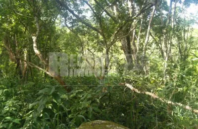 Tereno á venda no bairro canasvieiras em florianópolis.