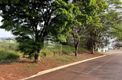 Terreno comercial à venda na Rua Paranavaí, 509, Centro, Ibema