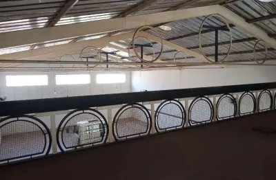 Barracao, 300 m2 - venda por r$ 1.800.000,00 ou aluguel por r$ 5.700,00/mes - jardim do prado - aracatuba/sp