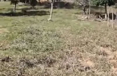 Chácara / sítio à venda no Burrinho, Mesquita 