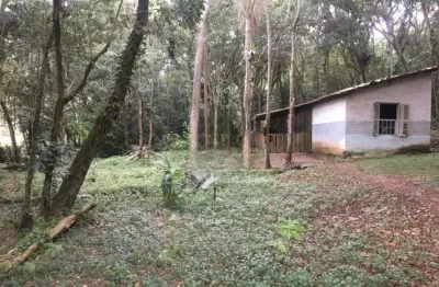 Terreno à venda, 7211 m² por R$ 250.000,00 - Tatetos - São Bernardo do Campo/SP