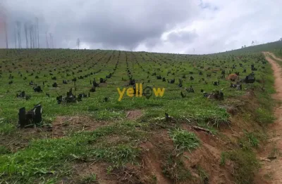 Chácara / sítio à venda no Pouso Alegre, Santa Isabel 