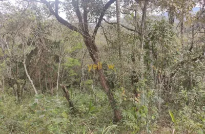 Chácara / sítio com 3 quartos à venda no São Domingos, Santa Isabel 