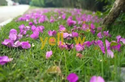 Terreno em condomínio fechado em arujázinho i, ii e iii - arujá, sp