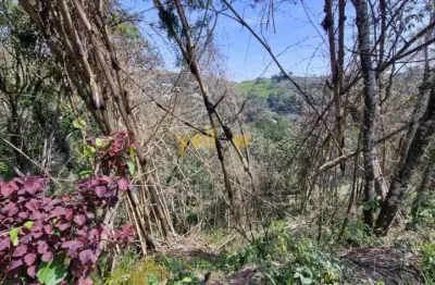 Terreno rural em aralu - santa isabel: venda e locação por r$155.000