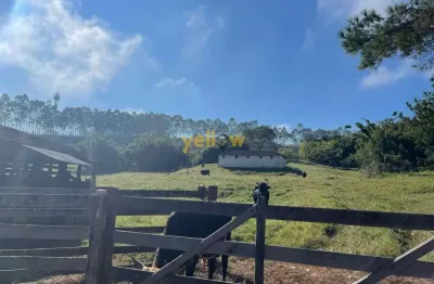 Fazenda à venda no Boa Vista, Igaratá 