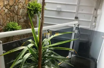 Casa de 115m² com 3 suítes e 4 banheiros no jardim nossa senhora do carmo - são paulo por r$700.000,00 - venda