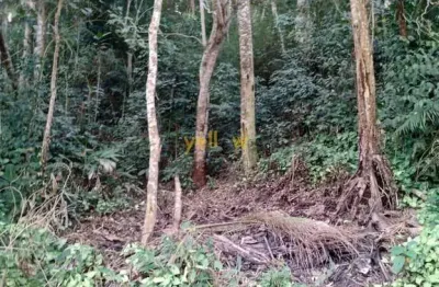 Chácara / sítio à venda no Recanto das Gaivotas, Santa Isabel 