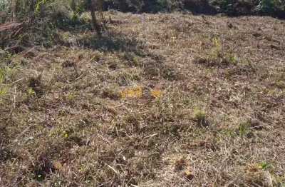 Terreno em condomínio à venda em ouro fino - santa isabel