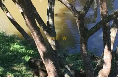 Terreno rural à venda em igaratá, por r$ 300.000. ideal para investimento e para construir a casa dos sonhos!