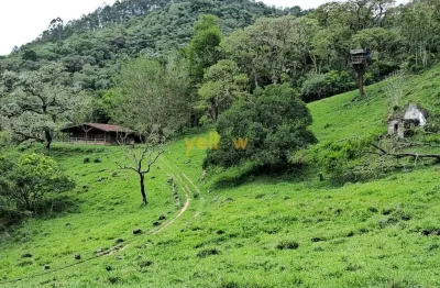Chácara / sítio com 3 quartos à venda na Zona Rural, Santa Isabel 