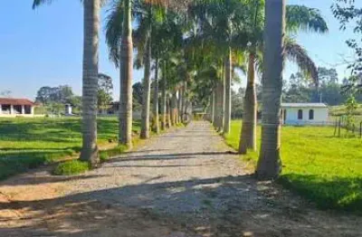 Sítio à venda em santa isabel, 240.000m², 4 quartos, r$4,5mi