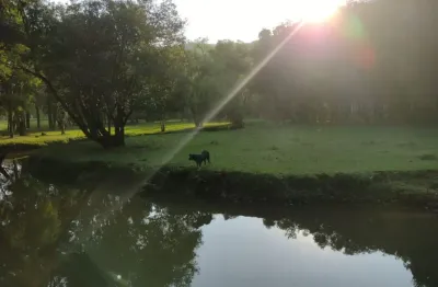 Chácara / sítio com 3 quartos à venda na Estrada do Cerne, Centro, Campo Magro
