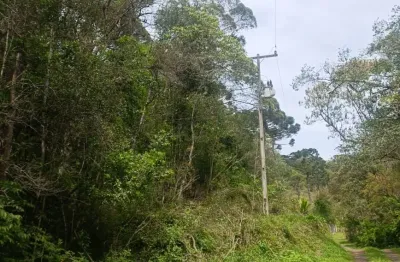 Chácara / sítio à venda na Rua Catarina knapik, Palmitalzinho, Quatro Barras