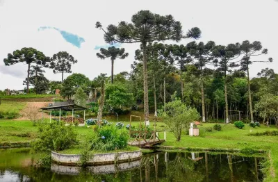 Chácara / sítio à venda em Borda do Campo, São José dos Pinhais 