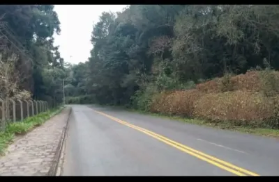 Oportunidade exclusiva para investidores e moradia – campo largo/pr