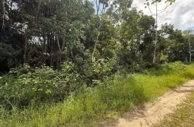 Terreno à venda no Meia Praia, Navegantes 