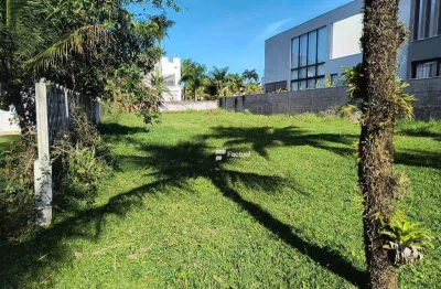 Terreno à venda, 559 m² por r$ 750.000,00 - pernambuco i - guarujá/sp