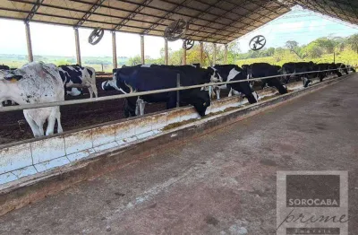 Fazenda à venda, 750200 m² por r$ 4.500.000,00 - centro - emilianópolis/sp