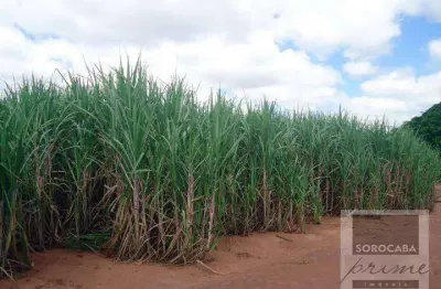 Fazenda à venda por r$ 120.000.000 - vila iguacu - rancharia/sp