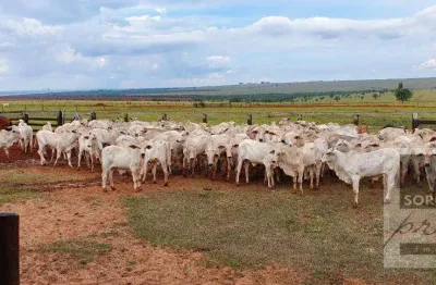 Fazenda à venda, 3242800 m² por r$ 28.500.000,00 - centro - itajobi/sp