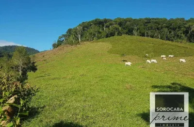 Fazenda à venda, 202000 m² por r$ 980.000,00 - serra - iporanga/sp