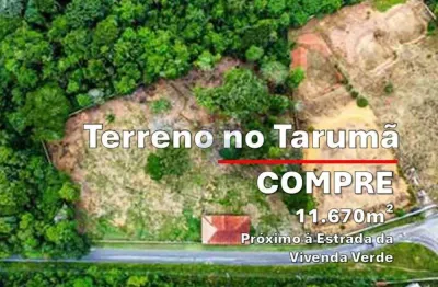 Terreno à venda, tarumã, 11.670m², próximo à estrada da vivenda verde