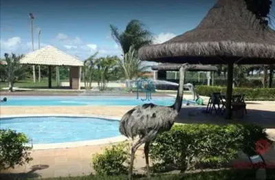 Fazenda real residence i e ii - casa de condomínio  / casa em macaíba-rn / casa de condomínio em natal / casa alto padrão / casa com piscina em macaiba / casa em macaiba / condomínio fazenda real / ca