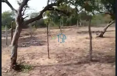 Terreno em nisia floresta / terreo com 4.000 metros / terreno regularizado / terreno com poço cartesiano / terreno com granja / terreno para investir